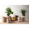 Shiraleah Haven Dip Dye Decorative Planter/Storage Basket - 4 of 4