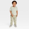 Grayson Collective Toddler Short Sleeve Ribbed Henley T-Shirt - Sage Green - 3 of 3