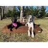 Big Barker 7" Orthopedic Dog Bed - Sofa Edition - 4 of 4