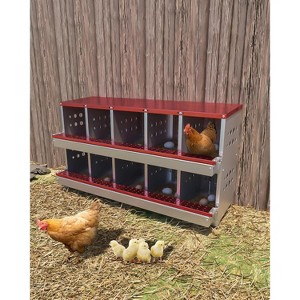 Chicken Nesting Box 10 Holes, Heavy Duty Metal Laying Boxes, Rustproof Roll Away Nesting Box Egg Collection Tray, with Roosting Pole - 1 of 4