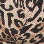 sand leopard