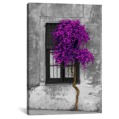 Tree in Front of Window Purple Pop Color Pop by Panoramic Images Canvas Print