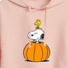 Women's - Peanuts - Snoopy Woodstock Pumpkin Cropped Graphic Hoodie - 2 of 4