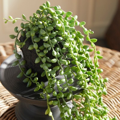 Green Plastic String of Pearls Succulent Topiary