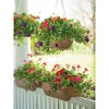 24 Inches 2 x 4 Railing Planter - image 3 of 3