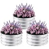 3-Pack Galvanized Metal Raised Garden Beds,2x2x1Ft Durable Round Planter Boxes for Outdoor Gardening,Open Bottom, Rust-Resistant,Easy Setup - 2 of 4