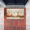 Stupell Industries Classic Pumpkin Trio Printed Outdoor Door Mat, design by Creative Studio, 18"x30" - 4 of 4