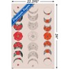 Trends International Floral Phases of the Moon Unframed Wall Poster Prints - 3 of 4