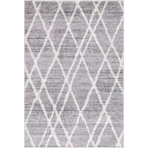 Adirondack ADR128 Non-Shedding Power Loomed Indoor Rugs - Safavieh - 1 of 4