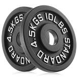Philosophy Gym Set of 2 Cast Iron Olympic 2-inch Weight Plates