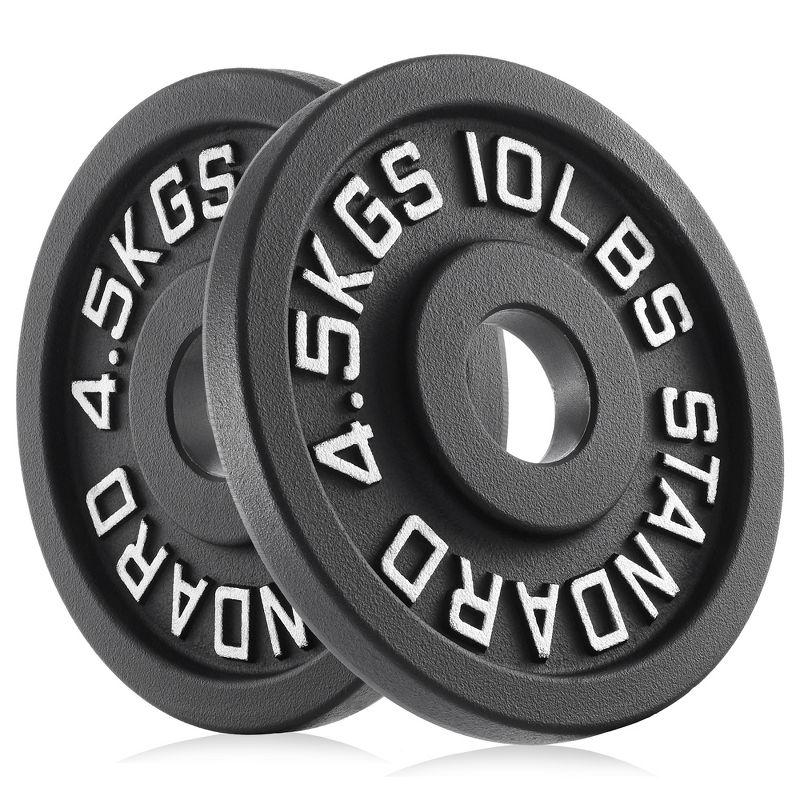 Philosophy Gym Set of 2 Cast Iron Olympic 2-inch Weight Plates, 1 of 6