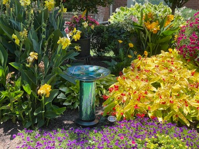 Guest review image 1 of 2, zoom in