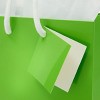 Blue Panda 20 Pack Small Green Gift Bags with Handles, Tissue Paper, Hang Tags, 7.9 x 5.5 x 2.5 In - 4 of 4