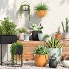  3pc Hanging Self-Watering Indoor Outdoor Planter Pot 1 Planter with Hanging Hardware 12"x12"x6" - Room Essentials™ - image 2 of 4