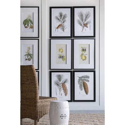 Set of 2 Black Framed Botanical Fruit Wall Art
