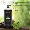 Majestic Pure Jamaican Black Castor Oil for Hair Care & Nourishment - Non-GMO - 16 Fl Oz - 3 of 4