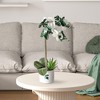 Forever Leaf Michigan State Faux Orchid, Indoor Artificial Plant for Home Decor - 2 of 4