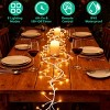 Lighted Birch Garland 7.87ft 144 LED, 8 Lighting Modes with Remote & 6H Timer, IP45 Waterproof Warm White Lights for Christmas Home Decor - 2 of 4