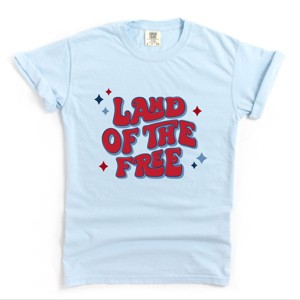 Simply Sage Market Land Of The Free Retro Garment Dyed Tee - XL - Chambray - 1 of 4