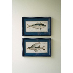 Framed Wall Art, Fish Prints Under Glass 12.5"H – Navy Framed Coastal, Set of Two by Kalalou - 1 of 3