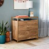 2 Drawer International Lux Lateral File Cabinet Sindoori Mango - Sauder - 2 of 4