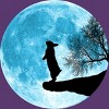 Men's Design By Humans Moon Bunny By Maryedenoa T-Shirt - 2 of 3