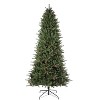 Haute Decor 9' Prelit Montana Fir Christmas Tree - 2 of 4