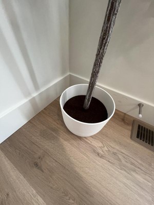 Guest review image 3 of 4, zoom in