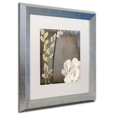 Trademark Fine Art -Color Bakery 'India I' Matted Framed Art