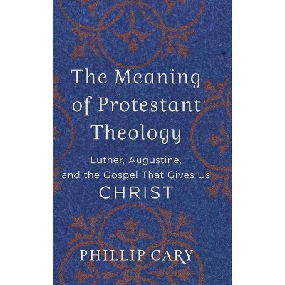 Meaning of Protestant Theology - (Hardcover)