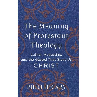 Meaning of Protestant Theology - (Hardcover)