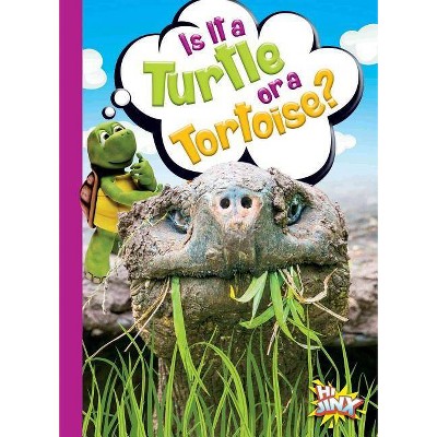 Is It a Turtle or a Tortoise? - (Can You Tell the Difference?) by  Gail Terp (Paperback)