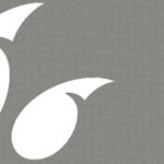 cincinnati bearcats