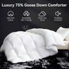 75 Goose Down Comforter, 850+ Fill Power, 1200TC, Ultra Soft All Season Duvet Insert with 8 Corner Tabs - 2 of 4