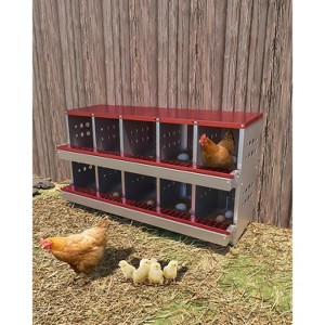 Red 10-Compartment Wall-Mountable Metal Chicken Nesting Box, Roll Away Rustproof Design, Ventilated with Perch & Waterproof - 1 of 4