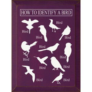 Slickblue Bird Guide Wooden Sign, Knotty Pine 9x12 Inch Wall Decor, Rustic Style, Color Options - 1 of 3