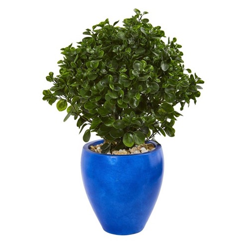 Nearly Natural 32-in Peperomia Artificial Plant In Blue Planter(indoor ...