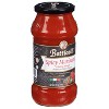 Botticelli Foods Pasta Sauce Spicy Marinara -24 oz (Case of 6) - 3 of 4