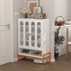 APRILSOUL 46.45"high foot double-sided mesh door shoe cabinet with movable double-layer partitions - 3 of 4