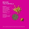 HUM Nutrition Best of Berberine Weight Management & Glucose Support Vegan Capsules - 1200mg - 60ct - 4 of 4