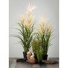 Sullivans Artificial Potted Agave Reed - 4 of 4