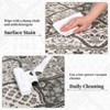 Washable Area Rug for Living Room Vintage Distressed Throw Rugs Ultra-Soft Low Pile Boho Floral Accent Carpet Traditional Indoor Carpet for Bedroom - 4 of 4