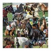 Hart Puzzles Horses, Horses, Horses by Steve Smith, 24 x 30 1000 Puzzle - 4 of 4