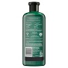 Herbal Essences Bio:renew Moisturizing Shampoo with Cucumber & Green Tea - 13.5 fl oz - image 2 of 4