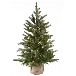 3' Prelit Nordic Spruce Artificial Christmas Tree Clear Lights - National Tree Company - 1 of 4