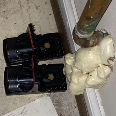 user image by Experienced Mouse Hunter