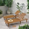 2pk Nadine Wooden Chaise Lounge - Christopher Knight Home - 2 of 4