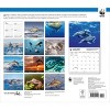 BrownTrout 2025 Wall Calendar 12"x14" Dolphins WWF - image 2 of 4