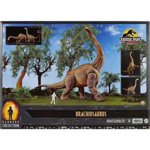 Jurassic World Hammond Collection Velociraptor Figure – Mattel