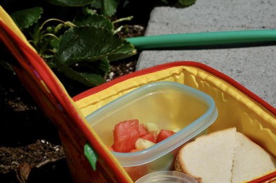 Tan Checkered Lunch Box – The Shop Sunkissed